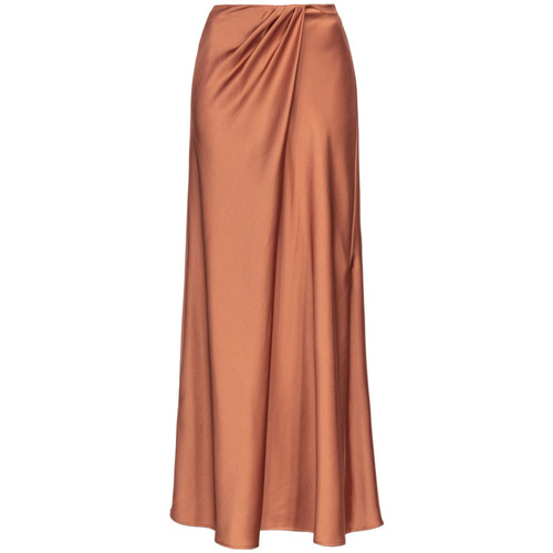 textil Mujer Faldas Pinko 102769Z345 Marrón