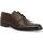 Zapatos Hombre Richelieu Melluso U90601W-236866 Marrón