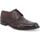 Zapatos Hombre Richelieu Melluso U90604W-236894 Marrón