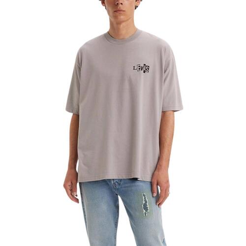 textil Hombre Camisetas manga corta Levi's SKATE GRAPHIC BOX TEE Gris
