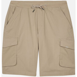 textil Hombre Shorts / Bermudas Oxbow Short cargo OTIKO Gris