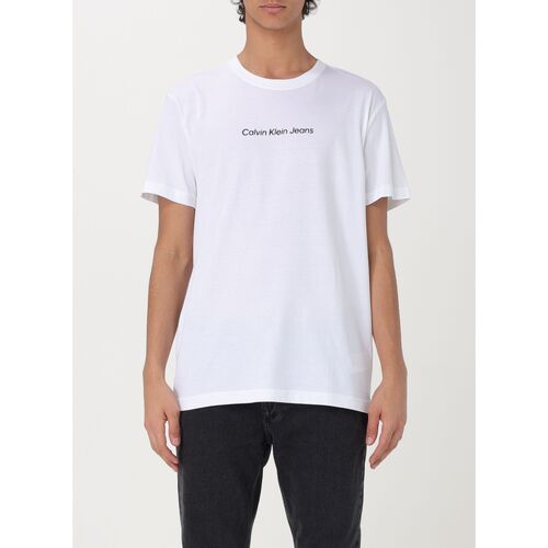 textil Hombre Tops y Camisetas Calvin Klein Jeans J30J324646 YAF Blanco