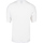 textil Hombre Polos manga corta Champion Crewneck T-Shirt new Blanco