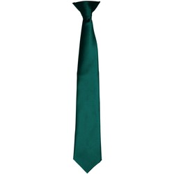 textil Corbatas y accesorios Premier PR755 Verde