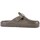 Zapatos Mujer Zuecos (Mules) Birkenstock 1026215 Verde