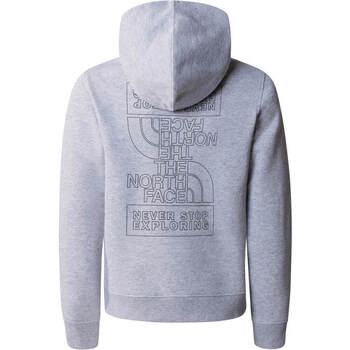 The North Face TEEN NEW GRAPHIC HOODIE Gris