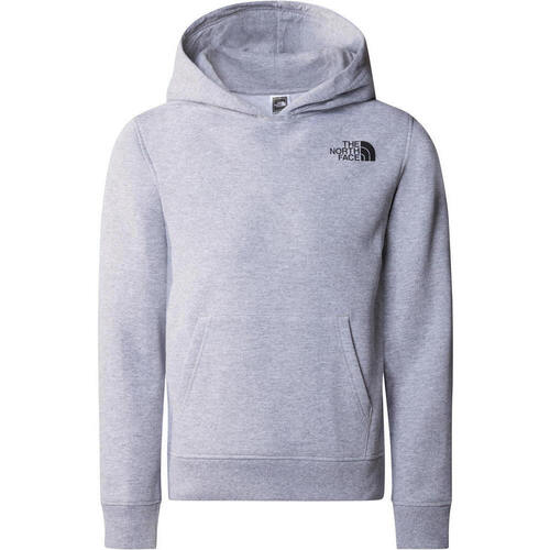 textil Niños Sudaderas The North Face TEEN NEW GRAPHIC HOODIE Gris