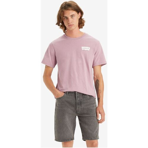 textil Hombre Tops y Camisetas Levi's 22491 1508 - GRAPHIC TEE-DUSTY ORCHID Rosa