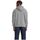 textil Sudaderas Levi's Sudadera gris Levi´s® Relaxed Graphic Gris