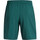 textil Hombre Shorts / Bermudas Under Armour UA Woven Wdmk Shorts Azul