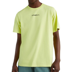 textil Hombre Tops y Camisetas O'neill  Verde