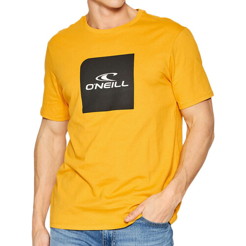 textil Hombre Tops y Camisetas O'neill  Amarillo