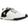Zapatos Hombre Botas de caña baja Timberland Sprint Trekker Blanco