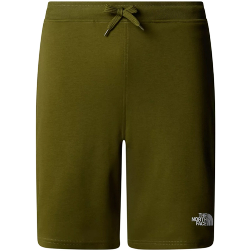 textil Hombre Shorts / Bermudas The North Face NF0A3S4F Verde