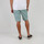 textil Hombre Shorts / Bermudas Oxbow Short ORAGO Verde
