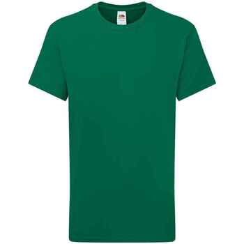 textil Niños Tops y Camisetas Fruit Of The Loom Iconic 195 Verde