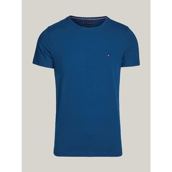 textil Hombre Tops y Camisetas Tommy Hilfiger MW0MW10800 Azul