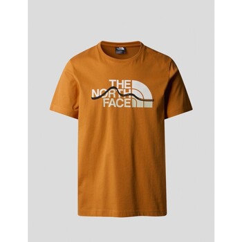 textil Hombre Camisetas manga corta The North Face CAMISETA  MOUNTAIN LINE TEE  DESSERT RUST Naranja