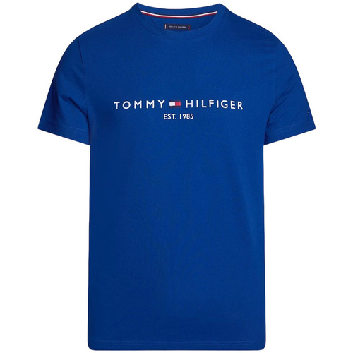 textil Hombre Tops y Camisetas Tommy Hilfiger MW0MW11797 Azul