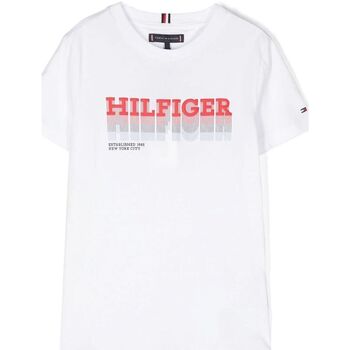 textil Niños Tops y Camisetas Tommy Hilfiger KB0KB08812 - FADE TEE-YBR WHITE Blanco