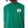textil Camisetas manga corta New-Era NBA ARCH GRPHC OS TEE BOSCEL Verde