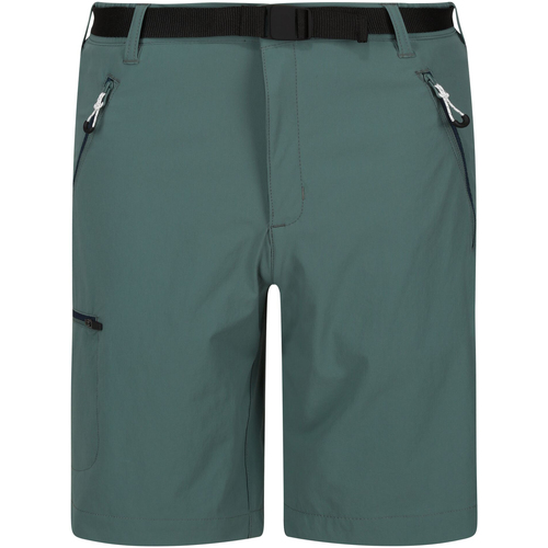 textil Hombre Shorts / Bermudas Regatta Xert III Multicolor