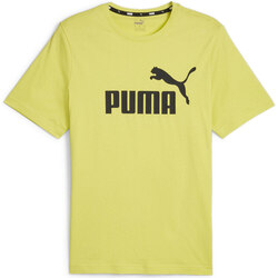 textil Hombre Polos manga corta Puma ESS Logo Tee Verde