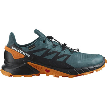 Zapatos Hombre Running / trail Salomon SUPERCROSS 4 GTX Verde