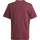 textil Niños Camisetas manga corta adidas Originals GFX FOLDED TEE Rojo