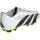 Zapatos Hombre Fútbol adidas Originals PREDATOR ACCURACY.4 FxG BLAM Blanco