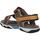 Zapatos Niños Sandalias Timberland A5RGF ADVENTURE SEEKER Marrón