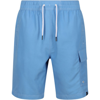 textil Hombre Shorts / Bermudas Regatta Hotham IV Azul