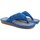Zapatos Mujer Multideporte Berevere Ir por casa señora  v 8002 azul Gris