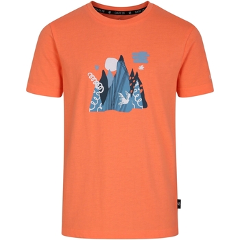 textil Niños Camisetas manga corta Dare 2b Trailblazer II Naranja