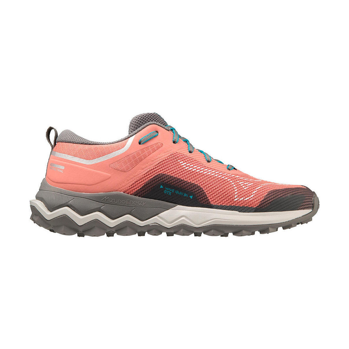 Zapatos Mujer Running / trail Mizuno WAVE IBUKI 4 GTX (W) Rosa