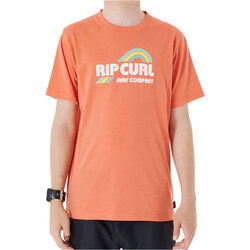 textil Niños Camisetas manga corta Rip Curl SURF   REVIVAL MUMMA -BOY Naranja