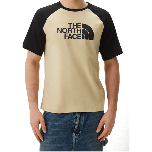 textil Hombre Camisetas manga corta The North Face NF0A87N7 Gris