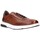 Zapatos Hombre Derbie & Richelieu Martinelli WALDEN 1606-2734L  Marron Marrón