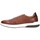 Zapatos Hombre Derbie & Richelieu Martinelli WALDEN 1606-2734L  Marron Marrón