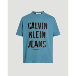textil Hombre Camisetas manga corta Calvin Klein Jeans J30J324648 Azul