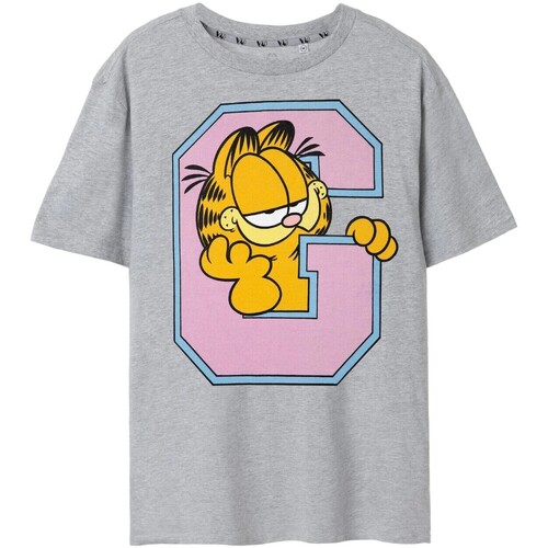 textil Hombre Camisetas manga larga Garfield Collegiate Gris