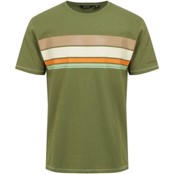 textil Hombre Camisetas manga larga Regatta Rayonner Verde