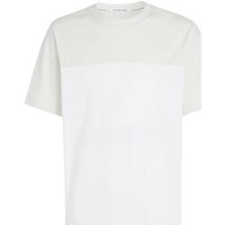 textil Hombre Camisetas manga corta Calvin Klein Jeans J30J325435 YAF Blanco
