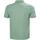 textil Hombre Camisetas manga corta Helly Hansen 34207-489 Verde