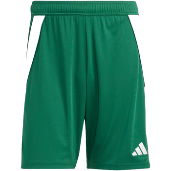 textil Hombre Shorts / Bermudas adidas Originals IS1410 Verde