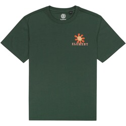 textil Hombre Tops y Camisetas Element In Bloom Ss Verde