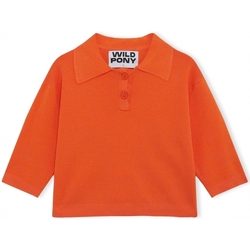 textil Mujer Jerséis Wild Pony Knit 10604 - Orange Naranja