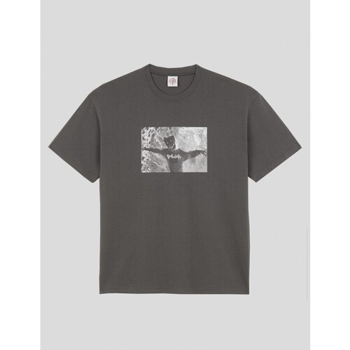 textil Hombre Camisetas manga corta Polar Skate Co CAMISETA  SUSTAINED DISINTEGRATION TEE  GRAPHITE Gris