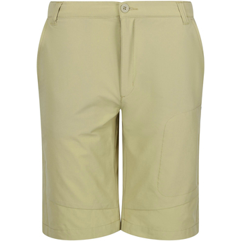 textil Hombre Shorts / Bermudas Regatta Highton Beige