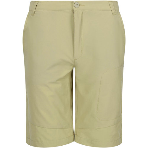 textil Hombre Shorts / Bermudas Regatta Highton Beige